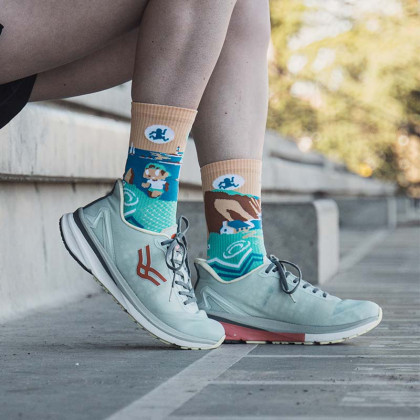 TRAIL ULTRA BRITTANY socks - Collector DBDB